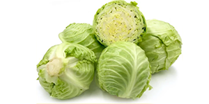 Cabbage