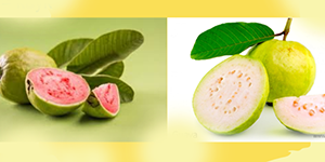 Guava