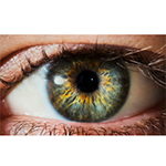 Eyes