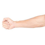Forearm