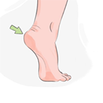 Heel