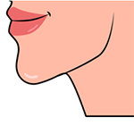 Jaw
