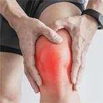 Knee