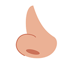 Nose