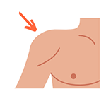 Shoulder